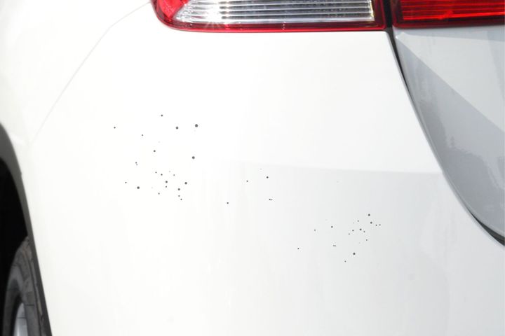 How to Remove Artillery Fungus from Car Paint: A Comprehensive Guide