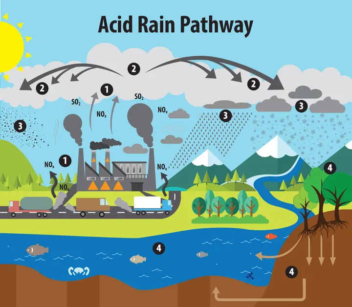 Car Exhaust and Acid Rain: The Damaging Effects and Mitigation Strategies